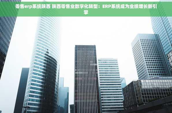 零售erp系统陕西 陕西零售业数字化转型：ERP系统成为业绩增长新引擎