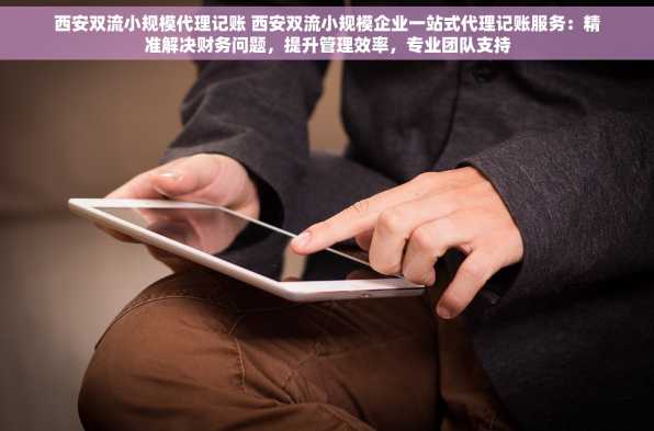 西安双流小规模代理记账 西安双流小规模企业一站式代理记账服务：精准解决财务问题，提升管理效率，专业团队支持