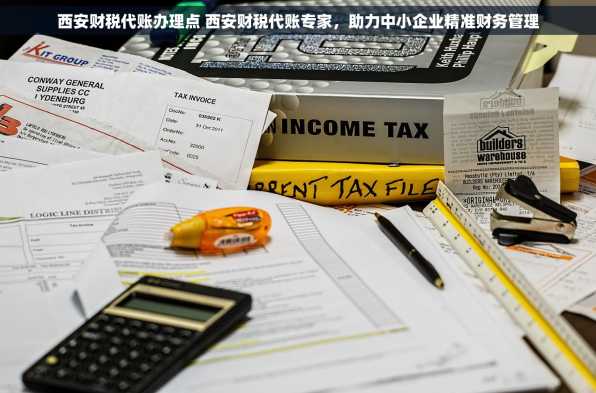 西安财税代账办理点 西安财税代账专家，助力中小企业精准财务管理