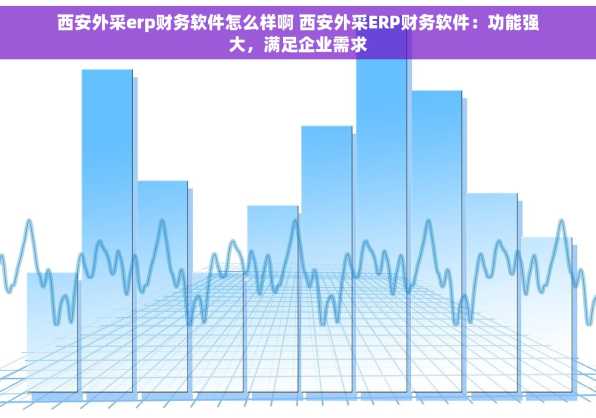 西安外采erp财务软件怎么样啊 西安外采ERP财务软件：功能强大，满足企业需求