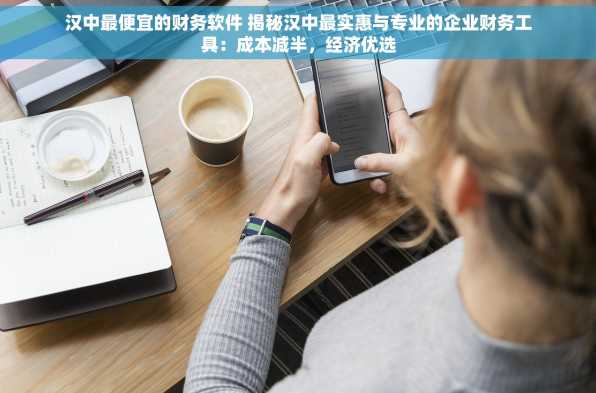 汉中最便宜的财务软件 揭秘汉中最实惠与专业的企业财务工具：成本减半，经济优选