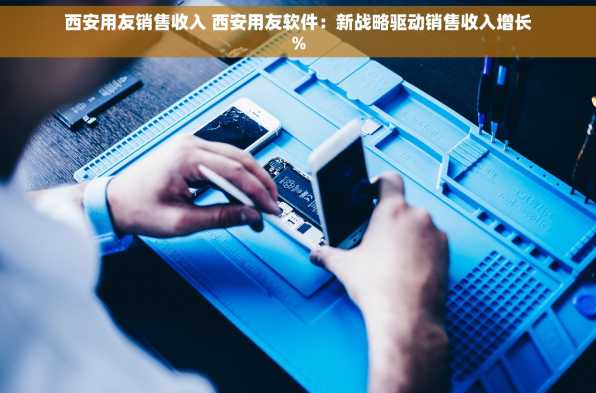 西安用友销售收入 西安用友软件：新战略驱动销售收入增长%