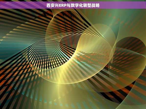西安兴ERP与数字化转型战略
