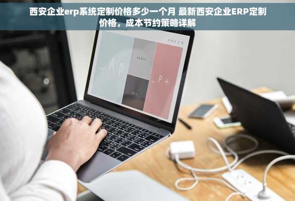 西安企业erp系统定制价格多少一个月 最新西安企业ERP定制价格，成本节约策略详解