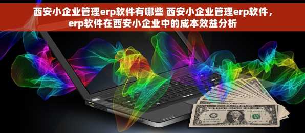 西安小企业管理erp软件有哪些 西安小企业管理erp软件，erp软件在西安小企业中的成本效益分析