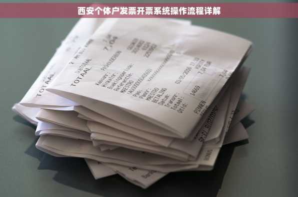 西安个体户发票开票系统操作流程详解