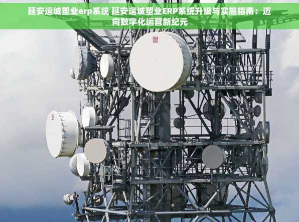 延安运城塑业erp系统 延安运城塑业ERP系统升级与实施指南：迈向数字化运营新纪元