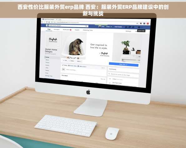 西安性价比服装外贸erp品牌 西安：服装外贸ERP品牌建设中的创新与挑战