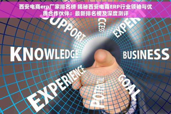 西安电商erp厂家排名榜 揭秘西安电商ERP行业领袖与优质合作伙伴：最新排名榜及深度测评