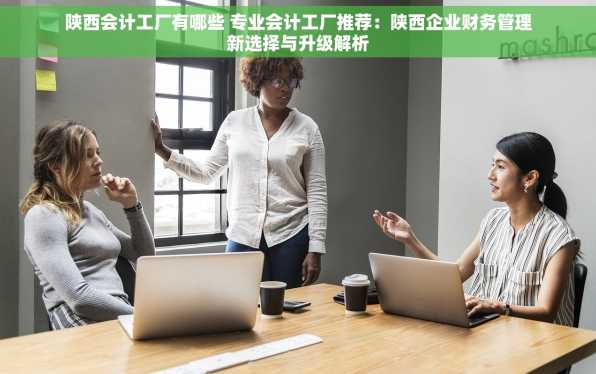 陕西会计工厂有哪些 专业会计工厂推荐：陕西企业财务管理新选择与升级解析