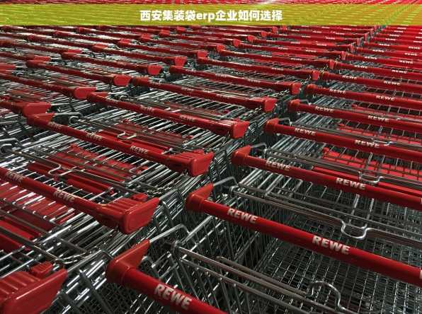 西安集装袋erp企业如何选择