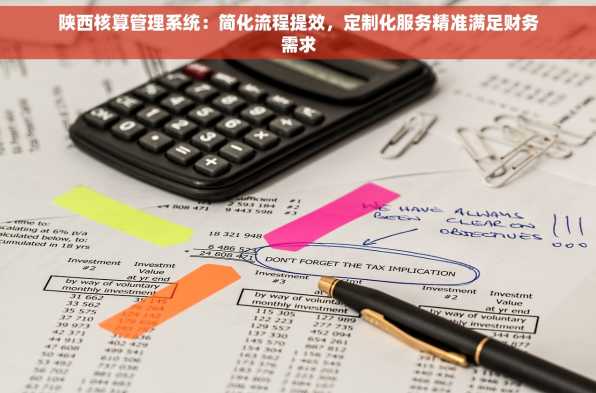 陕西核算管理系统：简化流程提效，定制化服务精准满足财务需求