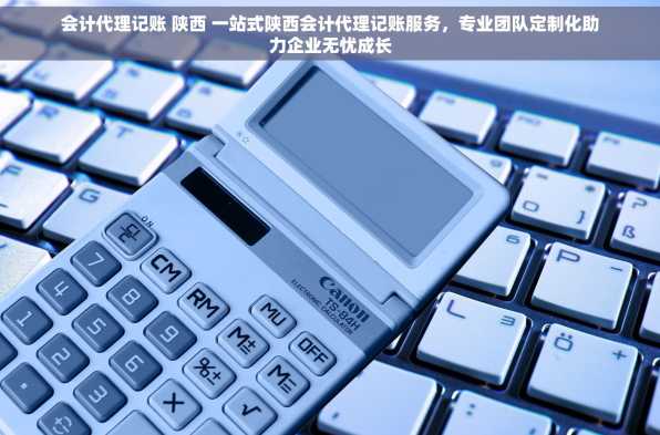 会计代理记账 陕西 一站式陕西会计代理记账服务，专业团队定制化助力企业无忧成长