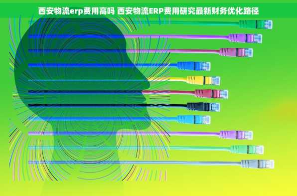 西安物流erp费用高吗 西安物流ERP费用研究最新财务优化路径
