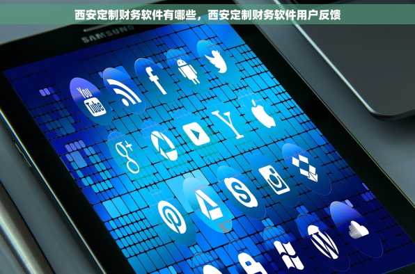 西安定制财务软件有哪些，西安定制财务软件用户反馈