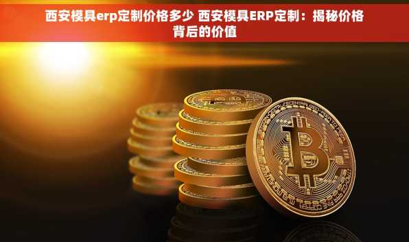 西安模具erp定制价格多少 西安模具ERP定制：揭秘价格背后的价值