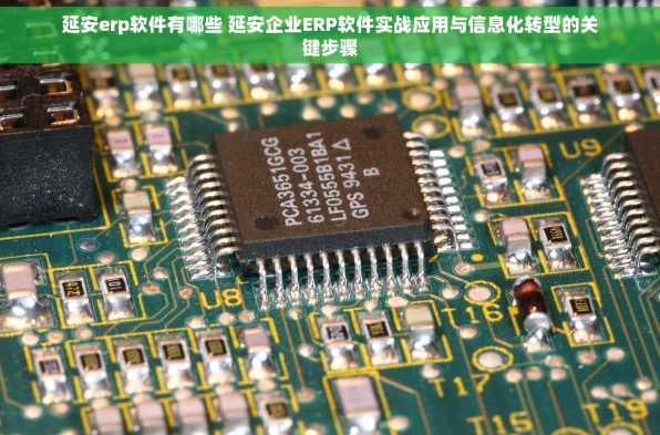 延安erp软件有哪些 延安企业ERP软件实战应用与信息化转型的关键步骤