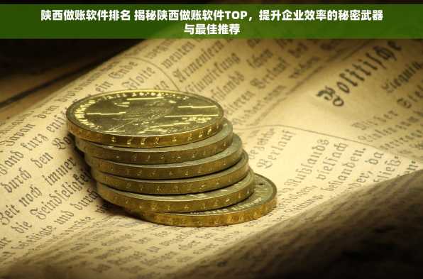 陕西做账软件排名 揭秘陕西做账软件TOP，提升企业效率的秘密武器与最佳推荐
