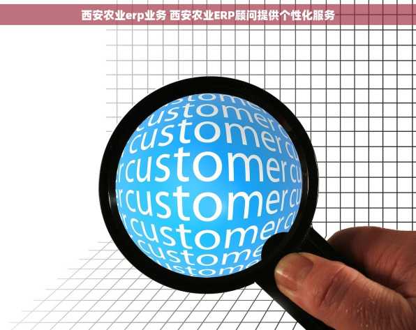 西安农业erp业务 西安农业ERP顾问提供个性化服务