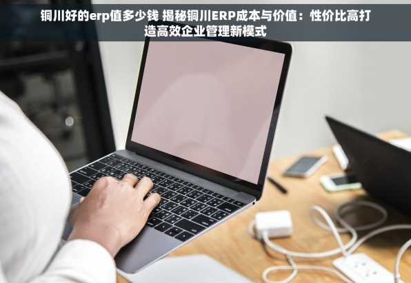 铜川好的erp值多少钱 揭秘铜川ERP成本与价值：性价比高打造高效企业管理新模式