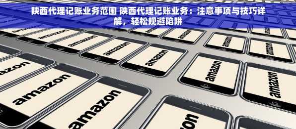 陕西代理记账业务范围 陕西代理记账业务：注意事项与技巧详解，轻松规避陷阱