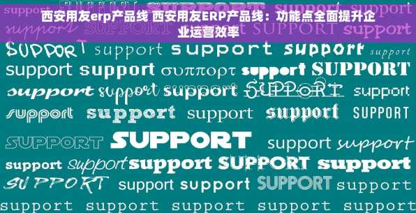 西安用友erp产品线 西安用友ERP产品线：功能点全面提升企业运营效率