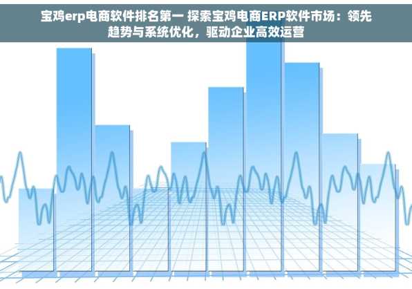 宝鸡erp电商软件排名第一 探索宝鸡电商ERP软件市场：领先趋势与系统优化，驱动企业高效运营