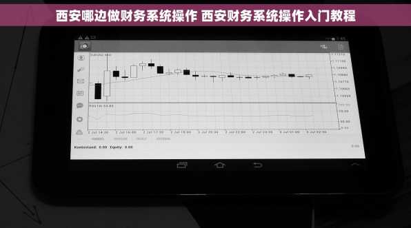 西安哪边做财务系统操作 西安财务系统操作入门教程