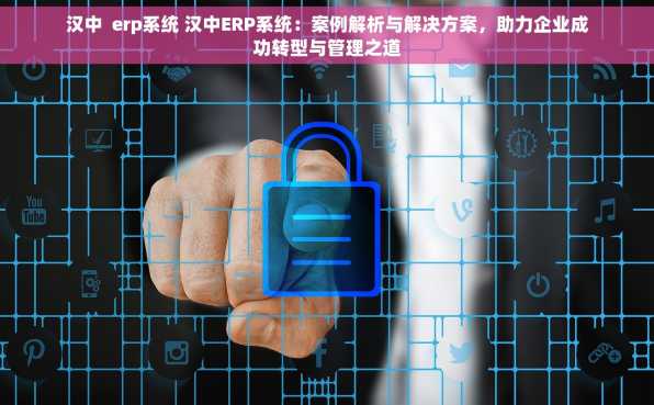汉中  erp系统 汉中ERP系统：案例解析与解决方案，助力企业成功转型与管理之道
