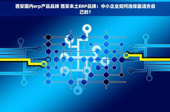 西安国内erp产品品牌 西安本土ERP品牌：中小企业如何选择最适合自己的？