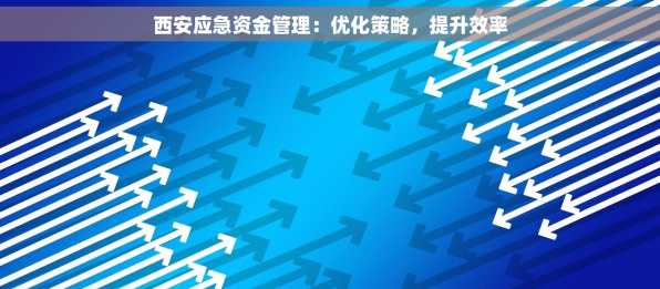 西安应急资金管理：优化策略，提升效率
