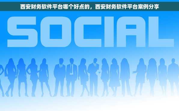 西安财务软件平台哪个好点的，西安财务软件平台案例分享