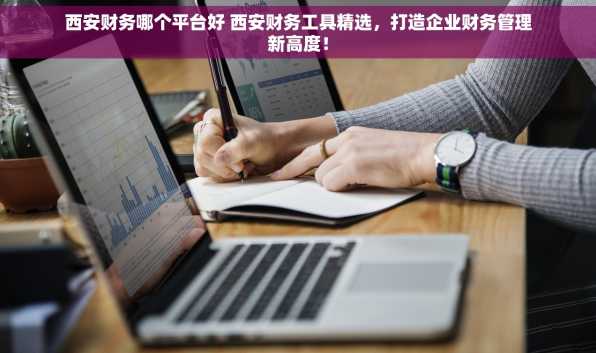 西安财务哪个平台好 西安财务工具精选，打造企业财务管理新高度！