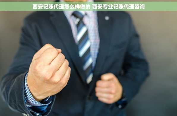 西安记账代理怎么样做的 西安专业记账代理咨询