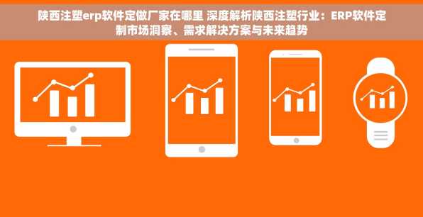 陕西注塑erp软件定做厂家在哪里 深度解析陕西注塑行业：ERP软件定制市场洞察、需求解决方案与未来趋势