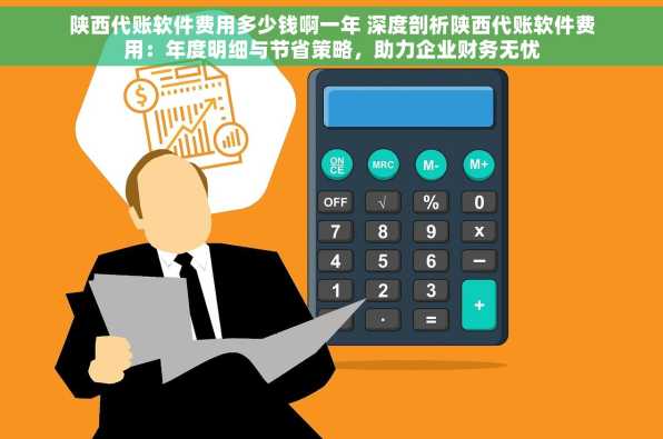陕西代账软件费用多少钱啊一年 深度剖析陕西代账软件费用：年度明细与节省策略，助力企业财务无忧