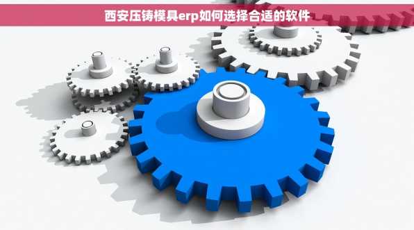 西安压铸模具erp如何选择合适的软件
