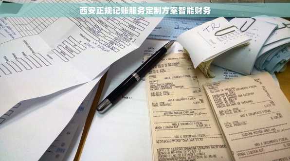 西安正规记账服务定制方案智能财务