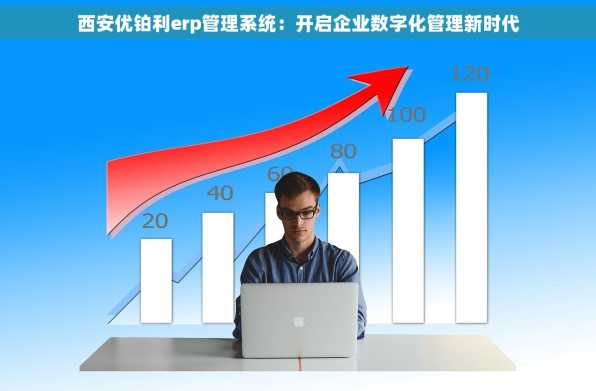 西安优铂利erp管理系统：开启企业数字化管理新时代