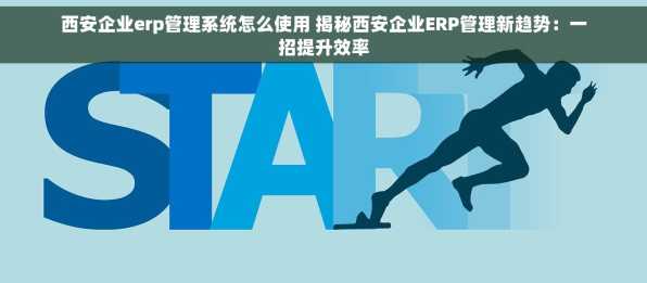 西安企业erp管理系统怎么使用 揭秘西安企业ERP管理新趋势：一招提升效率