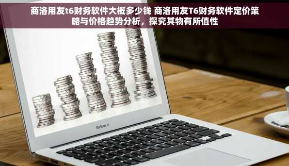 商洛用友t6财务软件大概多少钱 商洛用友T6财务软件定价策略与价格趋势分析，探究其物有所值性