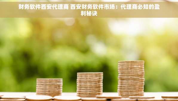 财务软件西安代理商 西安财务软件市场：代理商必知的盈利秘诀