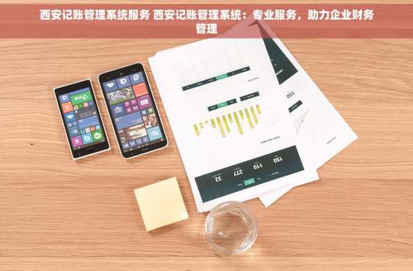 西安记账管理系统服务 西安记账管理系统：专业服务，助力企业财务管理