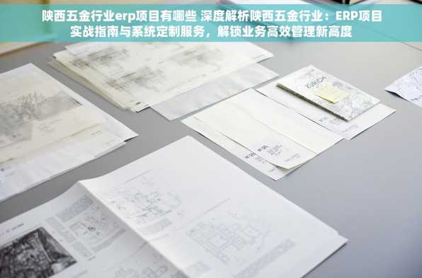 陕西五金行业erp项目有哪些 深度解析陕西五金行业：ERP项目实战指南与系统定制服务，解锁业务高效管理新高度