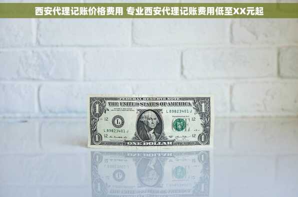 西安代理记账价格费用 专业西安代理记账费用低至XX元起