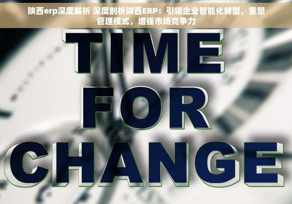 陕西erp深度解析 深度剖析陕西ERP：引领企业智能化转型，重塑管理模式，增强市场竞争力