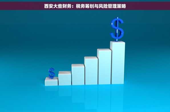 西安大些财务：税务筹划与风险管理策略