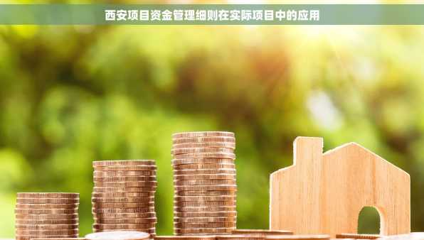 西安项目资金管理细则在实际项目中的应用