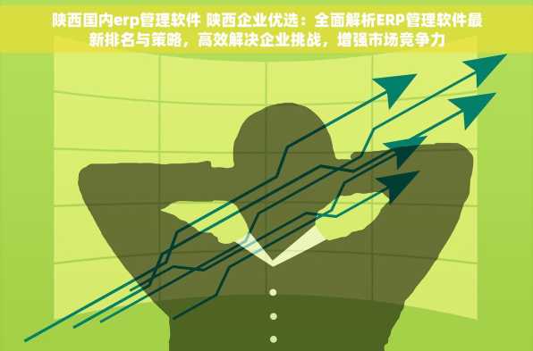 陕西国内erp管理软件 陕西企业优选：全面解析ERP管理软件最新排名与策略，高效解决企业挑战，增强市场竞争力