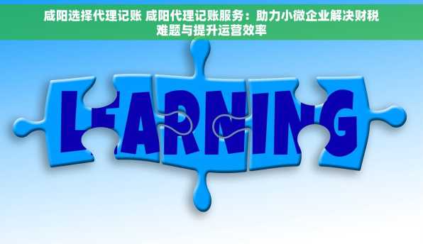 咸阳选择代理记账 咸阳代理记账服务：助力小微企业解决财税难题与提升运营效率